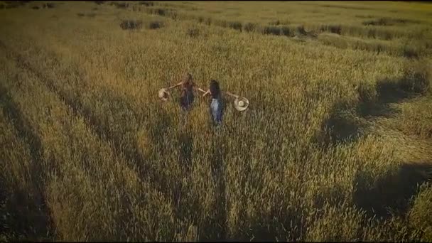 Aerial. the girls run across the meadow and along the high grass. two young women in straw hats and village dresses. view from above. slow motion — Stock Video