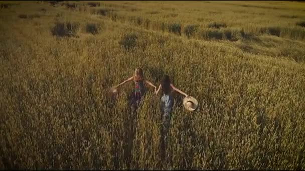 Aerea. le ragazze corrono attraverso il prato e lungo l'erba alta. due giovani donne con cappelli di paglia e abiti da villaggio. vista dall'alto. rallentatore — Video Stock