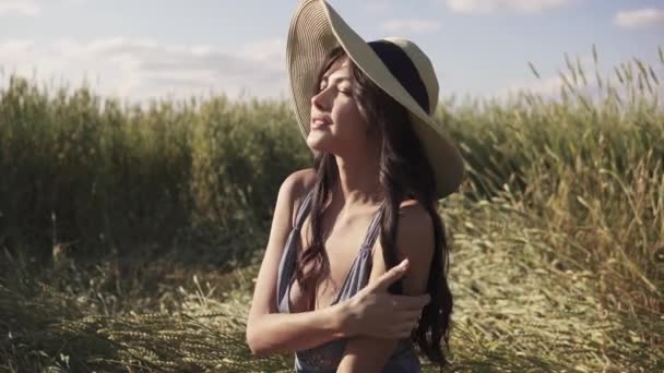 Menina bonita no campo de trigo posando sorrindo para a câmera. Retrato de uma jovem mulher atraente ao pôr do sol — Vídeo de Stock