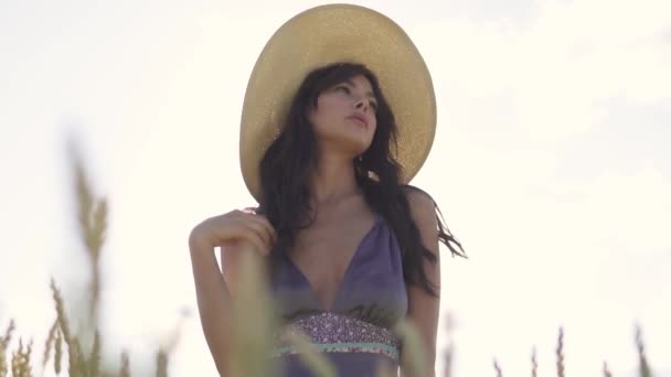 Sensual close-up portrait of a handsome young woman in a straw hat in the rays of the setting sun — Stock Video