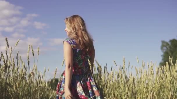 Una joven rubia en un campo. Vista trasera. cámara lenta — Vídeo de stock