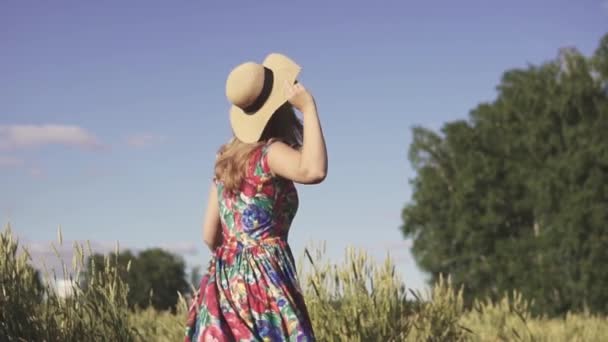 Retrato de jovem alegre e despreocupado feliz em um campo de trigo. Uma linda garota desfruta de um dia quente de verão andando ao ar livre. câmara lenta — Vídeo de Stock