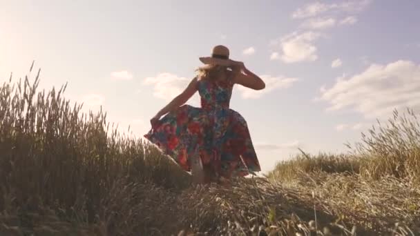 Concepto de verano despreocupado y alegría. Una mujer joven corre a un campo con hierba alta. Una chica con un vestido rústico y un sombrero de paja. Vista trasera. cámara lenta — Vídeo de stock