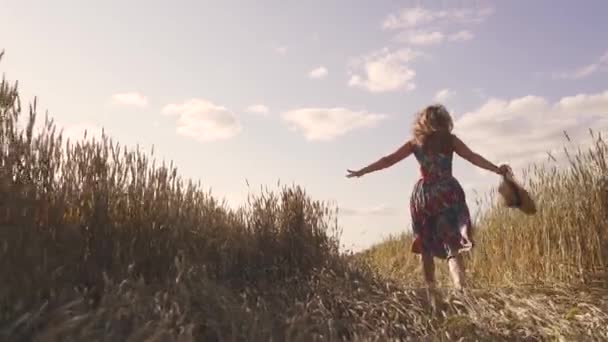 Ragazza allegra e spensierata corre lungo il campo di grano. Vista posteriore. rallentatore — Video Stock