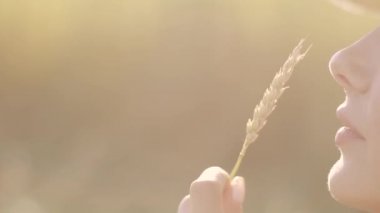 güzel genç kız dudak yakın çekim portre. Buğday kulakları tutan bir kadın