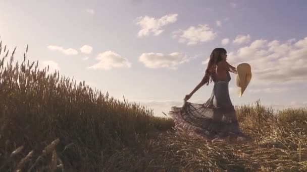 Felicidade e alegria mulher jovem que acende um campo de trigo sorrindo. câmara lenta — Vídeo de Stock