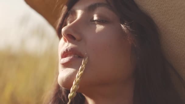 Close-up retrato de uma bela menina sentada em um prado e segurando uma palha em sua boca — Vídeo de Stock