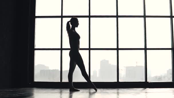 Silhouette Turner macht einen Salto in der Luft mit einem Zwirn.. flexibles Mädchen in Sportbekleidung. Zeitlupe — Stockvideo