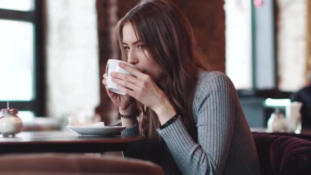 Joven chica atractiva se sienta en un acogedor café y utiliza un teléfono móvil — Vídeos de Stock