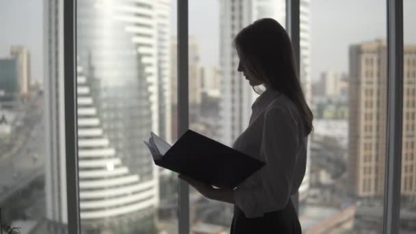 Portrait de jolie fille dans le bureau sur le fond de gratte-ciel. Silhouette de femme d'affaires avec un dossier pour les documents dans les mains . — Video