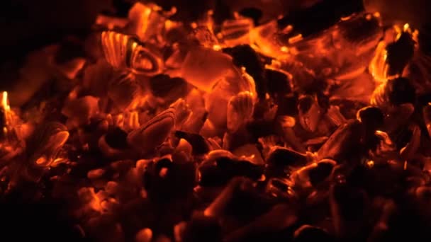 Des charbons qui brûlent. charbon de bois dans la grille .