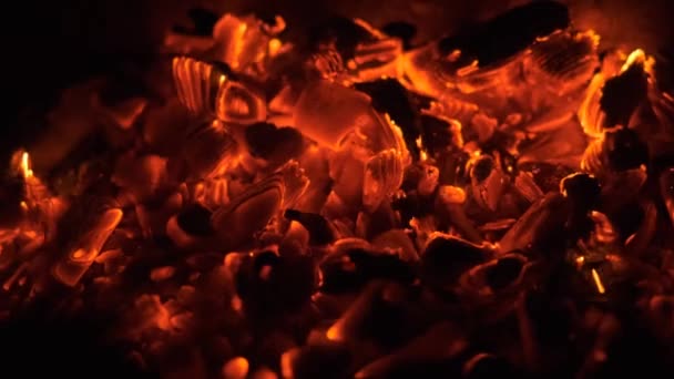 Smouldering coals. charcoal in the grill. — Stock Video