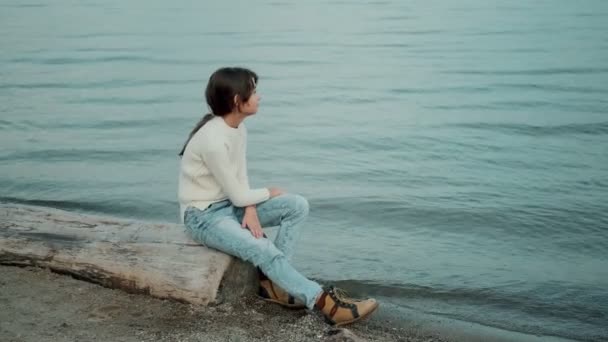 Little child sits on a log near the sea and admires the beautiful view — Stock Video