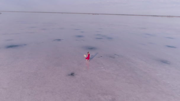 Meisje reiziger in een rode jurk loopt op een roze meer. Luchtfoto — Stockvideo