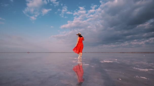 Retrato de uma jovem mulher em um vestido fluttering. Menina viajante caminha em um lago de sal rosa — Vídeo de Stock