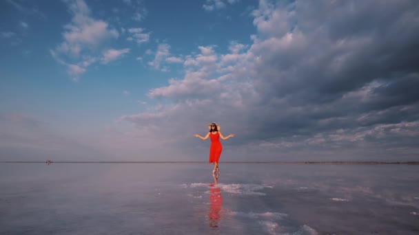 Lány egy csapkodott ruha sétál végig rózsaszín sós tó, ahol az ég tükröződik — Stock videók