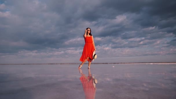 Retrato de uma jovem mulher em um vestido fluttering em pé na margem de um lago rosa — Vídeo de Stock