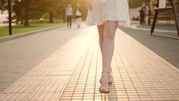 Charming woman walks through the park at sunset — Stock Video