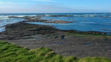 Kilkee İrlanda'nın kayalık plaj üzerinde uçuş