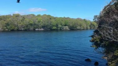 Killarney Milli Parkı İrlanda - inanılmaz hava uçuş görüntüleri inanılmaz mavi göl