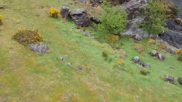 Flight over the beautiful vegetation at Beara Peninsula — Stock Video
