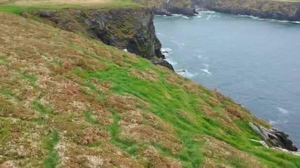 Aerial drone flight over the Irish west coast at the Atlantic Ocean — Stock Video