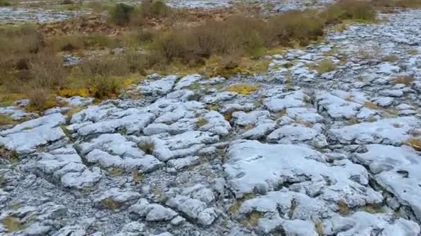 Typischer Steinboden am Burren in Irland - Drohnenflug aus der Luft — Stockvideo