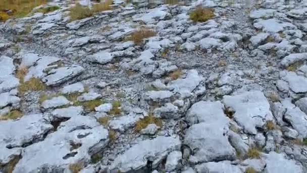 Typická kámen od země Burren v Irsku - letecké dron letu — Stock video