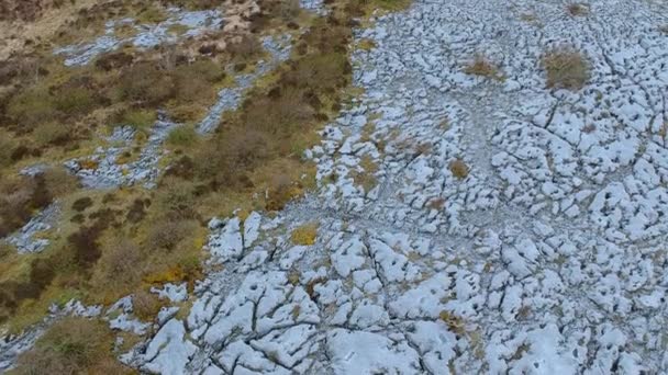 Typical stone ground at the Burren in Ireland - aerial drone flight — Stock Video
