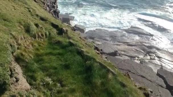 Adembenemende vlucht over de kliffen van Kilkee - luchtfoto beeldmateriaal — Stockvideo