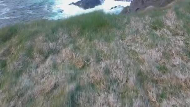 Vol à couper le souffle au-dessus des falaises de Kilkee - séquences aériennes — Video