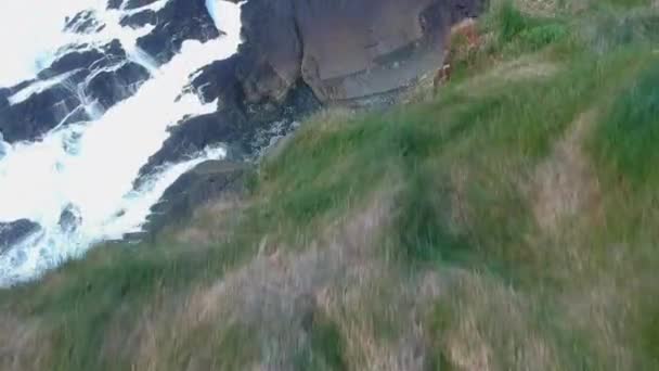 Fantastisk flygning över klipporna av Kilkee - antenn footage — Stockvideo