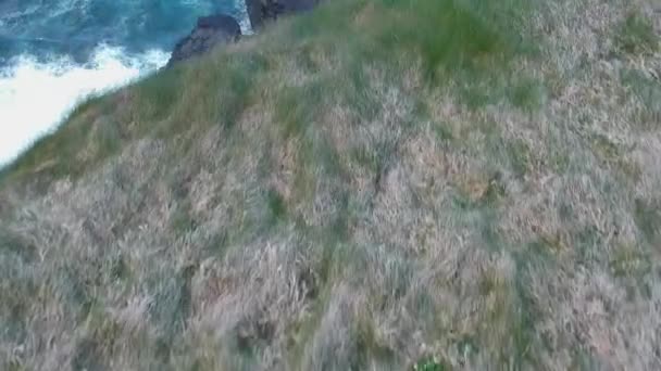 Vol à couper le souffle au-dessus des falaises de Kilkee - séquences aériennes — Video