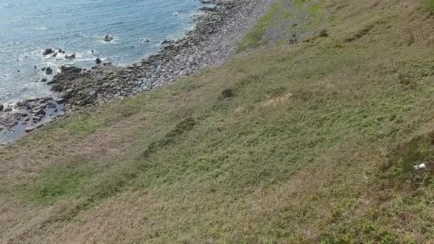 Vuelo sobre la costa atlántica de la península de Dingle en Irlanda — Vídeos de Stock