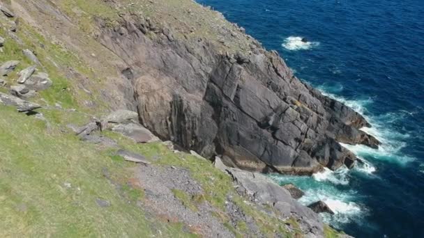 Flygning över Atlanten seglar utmed kusten fodra av Dinglehalvön i Irland — Stockvideo