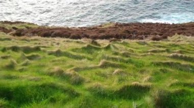 Kerry Cliffs at İrlandalı west coast üzerinde şaşırtıcı görünümü