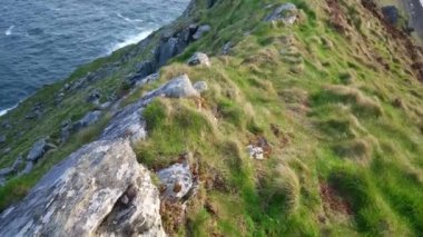 Kerry Cliffs at İrlandalı west coast üzerinde şaşırtıcı görünümü