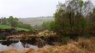 Coventry Yarımadası - vahşi doğa şaşırtıcı