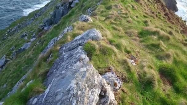 Increíble vista sobre los acantilados de Kerry en la costa oeste irlandesa — Vídeo de stock