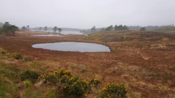 Prachtige natuur in Beara schiereiland - brede hoekmening — Stockvideo