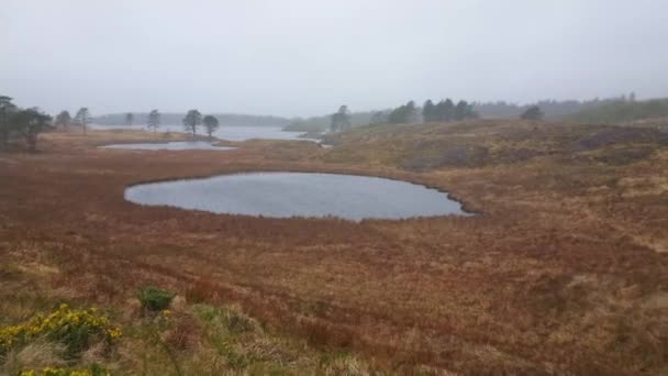 Magnifique nature à la péninsule de Beara - vue grand angle — Video