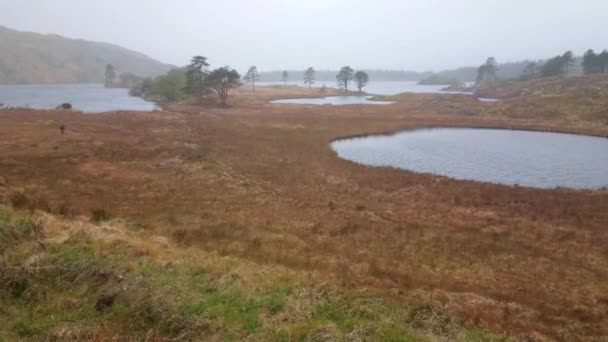 Maravillosa naturaleza en la península de Beara - vista panorámica — Vídeo de stock