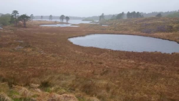 Underbar natur på Bearahalvön - vidvinkel vy — Stockvideo