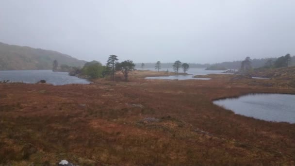 Natura meravigliosa nella penisola di Beara - vista ad ampio angolo — Video Stock