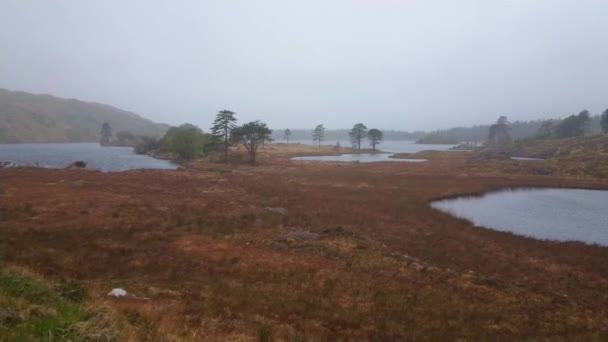 Prachtige natuur in Beara schiereiland - brede hoekmening — Stockvideo