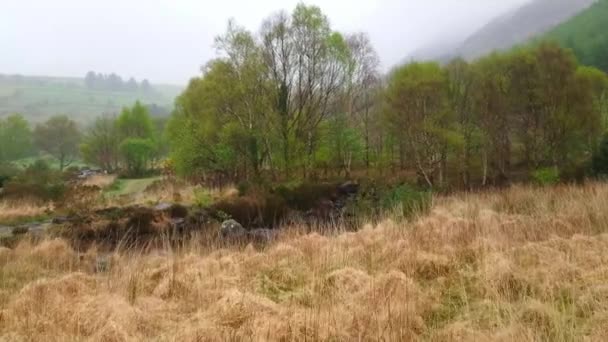 Bearahalvön - fantastisk vild natur — Stockvideo