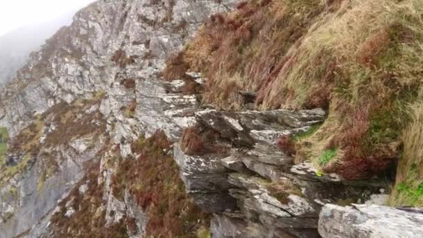 Die nebeligen Klippen am Atlantik an der irischen Westküste — Stockvideo