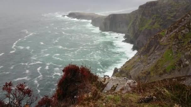 De Fogher Cliffs aan de Atlantische Oceaan aan de Ierse westkust — Stockvideo