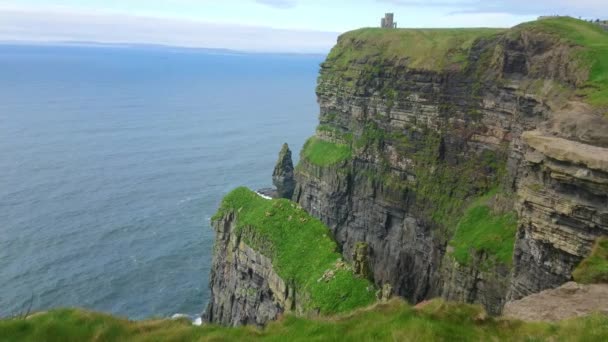 Världen berömda Cliffs of Moher på Irland — Stockvideo