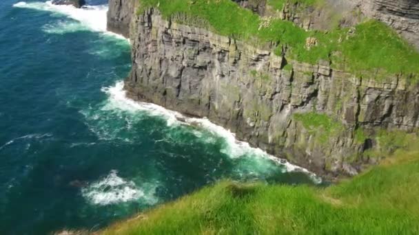 Wereld beroemde Cliffs of Moher in Ierland — Stockvideo